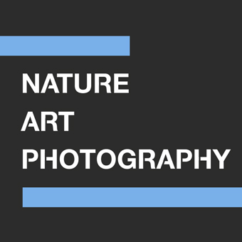 Nature Art Photography – Martina B. Schwarz